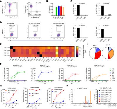 CAR-iNKT cells targeting clonal TCRVβ chains as a precise strategy to treat T cell lymphoma